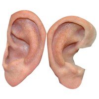 Picture of Rebuilt Silicone Ear Prosthesis