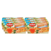 Del Monte Mandarin Oranges, In Lite Orange Flavored Gel Fruit Cups, 24Pack - 4.5oz