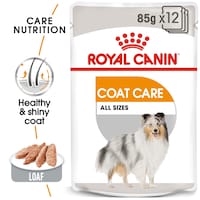 Royal Canin Canine Care Nutrition Coat Beauty Wet Food, 85g, Box of 12 Pouches