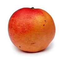 Picture of Fresh Kenya Round Apple Mango, 8-12 Sizes, Box of 4kg