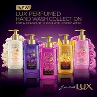 Picture of Lux Antibacterial Perfumed Hand Wash, Carton of 12pcs