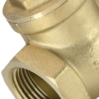 Picture of SANT Swing Check Valve, BSCV426264, Gold