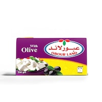 Obour Land Feta Cheese With Olive Tetra Pak, 250Gm, Carton of 27 Pcs