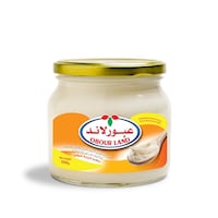 Obour Land Speradable Processed Cheese Full Fat With Romy Flavour, 500Gm, Carton of 6 Pcs