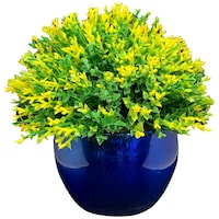 Starvis Artificial Flower Plant Pot, Green & Blue