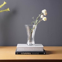 Pan Modern Martin Glass Vase, Clear, 13 x 9 x 20cm