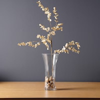 Picture of Pan Modern Martin Glass Vase, Clear, 13 x 9 x 26cm