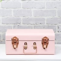Pan Kara Storage Box, Pink