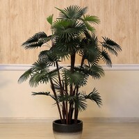 Pan Decorative Fortune Palm Tree, Green
