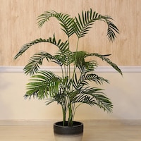Pan Decorative Areca Palm Tree, Green