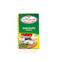 Obour Land Istanbully Cheese Tetra Pak, 125Gm, Carton of 40 Pcs