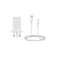Black Tiger Charger Wall 5A With Type-C Cable, White