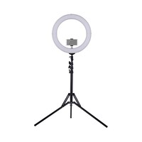 Picture of LED Fill Light CRI 90+ With Mini Ball Head Phone Holder, Black, 18 inch