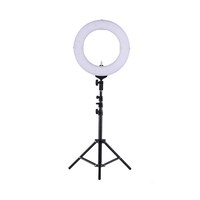 Picture of LED Fill Light CRI 90+ With Filter Mini Ball Head Phone Holder, Black, 14 inch