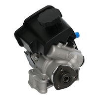 Picture of Karl DSL Steering Pump for Mercedes