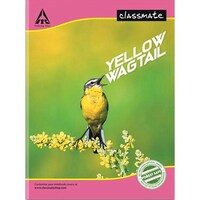 Classmate Soft Cover Notebook, 120 Pages, 24x18cm