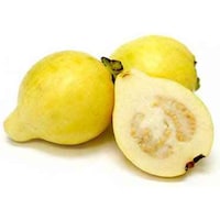 Picture of Safe Food Guava, Carton of 2kg