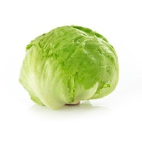 Picture of Safe Food Crunchy & Nutritious Lettuce. Carton of 6.5kg