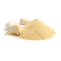 Safe Food Garlic Powder, Carton of 10kg