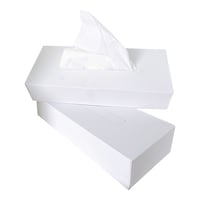 Facial Tissues Hotel Box, 100 Sheets - Box Of 60 Pcs