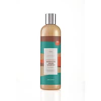 Favelin Moroccon Argan Shampoo, 500 g - Carton of 12 Pcs