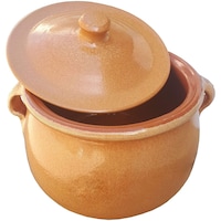 Regas Spanish Traditional Olla Pot - Brown