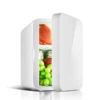 Coolbaby Mini Portable Dual Use Refrigerator For Skincare & Car Home, White, 8L - CZBX13