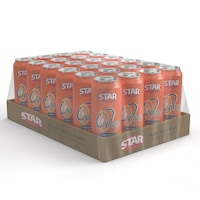 Picture of Star Orange Carbonated Soft Drink Can, 300ml - Pack Of 24