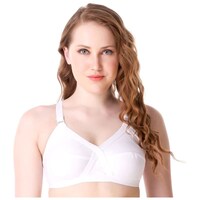 Picture of Fanzoh Women's Full Coverage X-Frame Pannel Single Layered Bra, FPL0946164