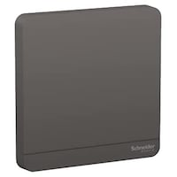 Schneider Electric AvatarOn Blank Plate, Dark Grey, E8330X_DG
