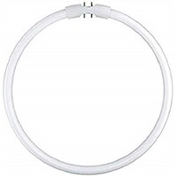 Picture of Osram Lumilux T5 Fc Ring Tube, 22 W