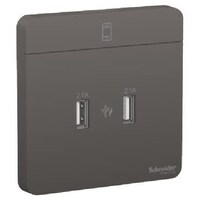 Picture of Schneider Electric AvatarOn 2 USB Charger, 2.1A, Dark Grey