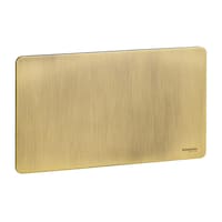 Picture of Schneider Electric Ultimate Blank Plate 2 Gangs