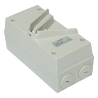 Picture of Schneider Kavacha Surface Mount Single Pole Isolating Switch IP66, WHS20, 20A, 250V, Grey