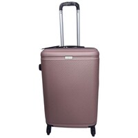 Golden Trip Lightweight Suitcase with Spinner Wheels, 24inch, Rose Gold