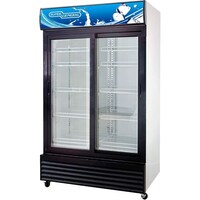 Picture of Super General Double Layered Glass Sliding Door Chiller, 1000L