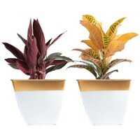 Picture of Ecofynd Midland Metal Planter, 8 inch, Set of 2