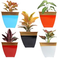 Picture of Ecofynd Midland Metal Planter, Multicolour, 8 inch, Set of 5