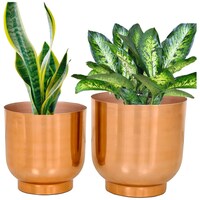 Picture of Ecofynd Eva Metal Plant Pots with Drainage Hole, Set of 2