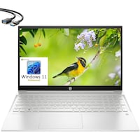 Picture of HP Pavilion Intel 12th Gen Laptop, Core i7, 64GB, 1TB SSD, 15.6inch, Natural Silver