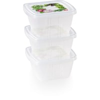 Picture of Snips Fresh Square Container, 250ml, Set of 3