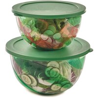 Picture of Snips Polystyrene Salad Bowl with Lid, Set of 2