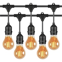Next Life String Lights with A60 Golden Glass, 20 Bulb, 33ft