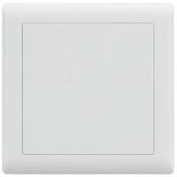 Picture of Electric Ultimate Blank Plate, 3X3, Ivory