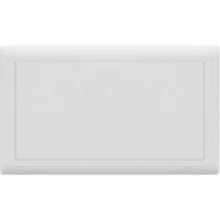 Electric Ultimate Blank Plate, 3X6, Ivory