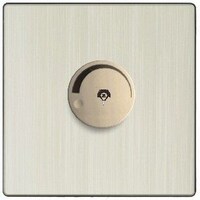 Picture of Dimmer Switch, Golden and Aluminum