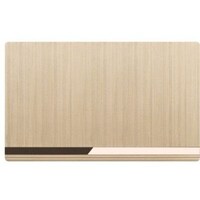 Electric Socket Blank Plate, 3X6, Champaign Golden
