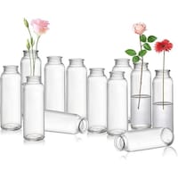 Picture of FUFU Glass Bud Vase in Bulk, Clear - Set of 12