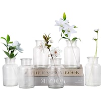 Picture of Fufu Glass Flower Vase Decorative Bottles, Clear - Set of 6
