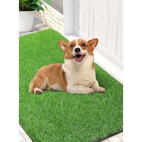 HOCC Artificial Turf Grass for Dogs with Drainage Holes, 0.72x1.02m, Green